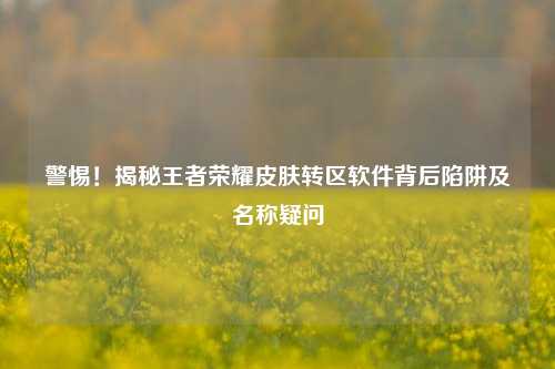 警惕!揭秘王者荣耀皮肤转区软件背后陷阱及名称疑问