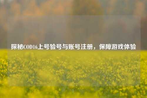 探秘COD16上号验号与账号注册，保障游戏体验