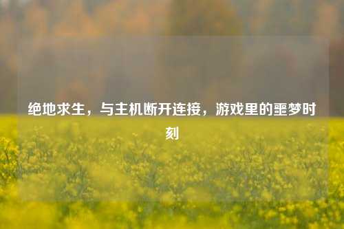 绝地求生,与主机断开连接,游戏里的噩梦时刻