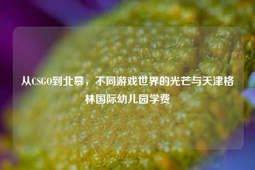 从CSGO到北慕，不同游戏世界的光芒与天津格林国际幼儿园学费
