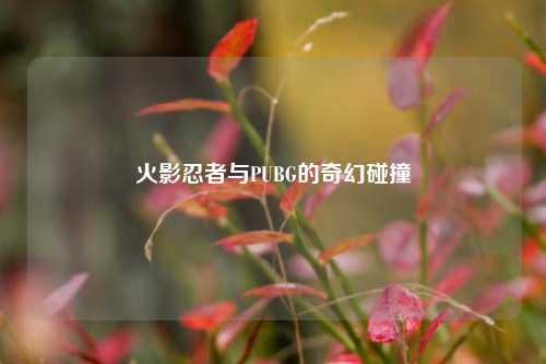 火影忍者与PUBG的奇幻碰撞