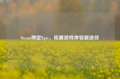 Steam绑定Epic,拓展游戏体验新途径