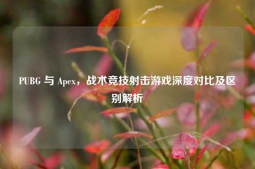 PUBG 与 Apex，战术竞技射击游戏深度对比及区别解析