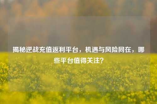 揭秘逆战充值返利平台,机遇与风险同在,哪些平台值得关注?