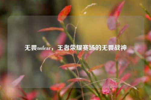无畏nofear，王者荣耀赛场的无畏战神