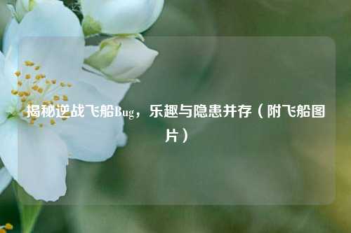 揭秘逆战飞船Bug，乐趣与隐患并存（附飞船图片）