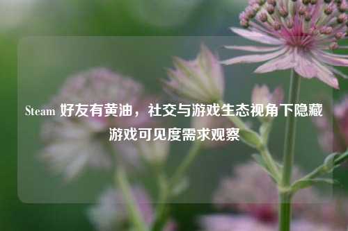 Steam 好友有黄油,社交与游戏生态视角下隐藏游戏可见度需求观察