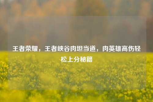 王者荣耀，王者峡谷肉坦当道，肉英雄高伤轻松上分秘籍