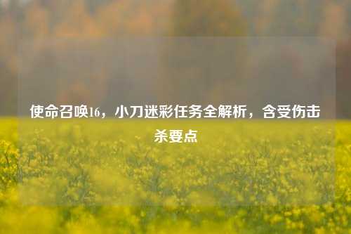 使命召唤16,小刀迷彩任务全解析,含受伤击杀要点