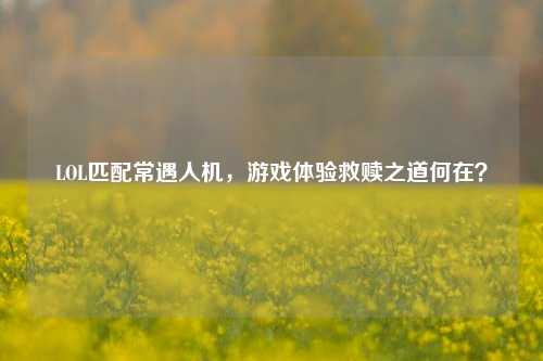 LOL匹配常遇人机,游戏体验救赎之道何在?