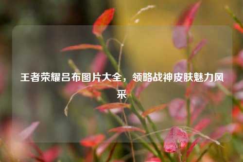 王者荣耀吕布图片大全，领略战神皮肤魅力风采