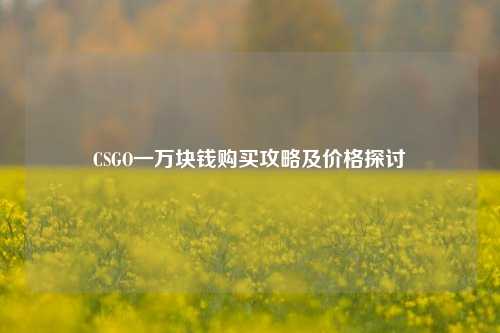 CSGO一万块钱购买攻略及价格探讨