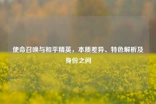 使命召唤与和平精英，本质差异、特色解析及身份之问
