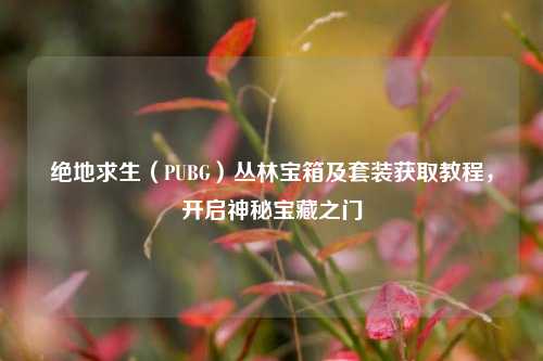 绝地求生（PUBG）丛林宝箱及套装获取教程，开启神秘宝藏之门