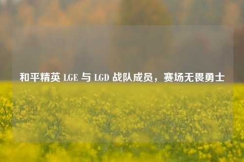 和平精英 LGE 与 LGD 战队成员,赛场无畏勇士