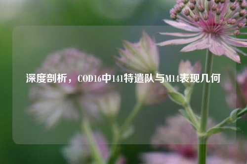 深度剖析，COD16中141特遣队与M14表现几何