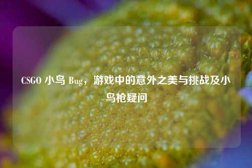 CSGO 小鸟 Bug,游戏中的意外之美与挑战及小鸟枪疑问