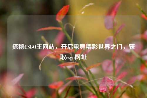 探秘CSGO主网站,开启电竞精彩世界之门,获取csgo网址