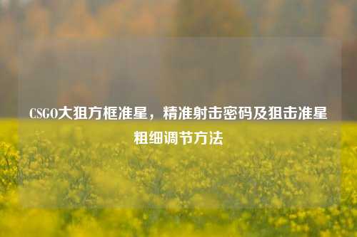 CSGO大狙方框准星,精准射击密码及狙击准星粗细调节方法
