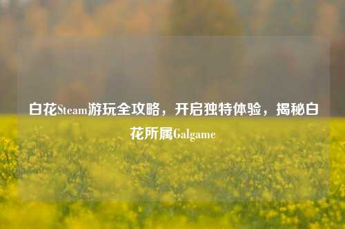 白花Steam游玩全攻略,开启独特体验,揭秘白花所属Galgame