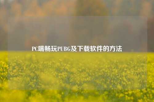 PC端畅玩PUBG及下载软件的方法