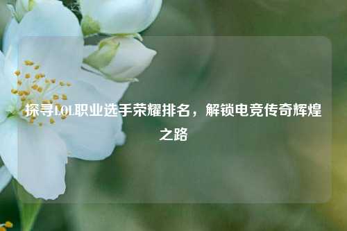 探寻LOL职业选手荣耀排名,解锁电竞传奇辉煌之路