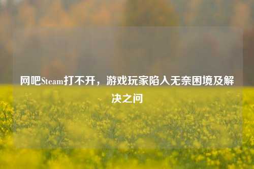 网吧Steam打不开,游戏玩家陷入无奈困境及解决之问