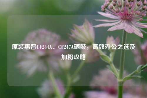原装惠普CF244A、CF247A硒鼓,高效办公之选及加粉攻略