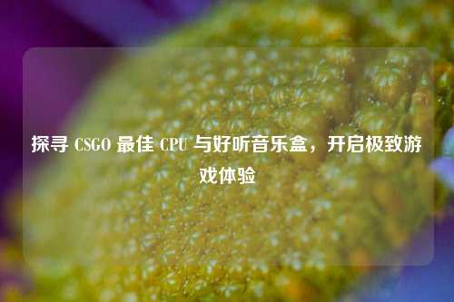 探寻 CSGO 最佳 CPU 与好听音乐盒,开启极致游戏体验
