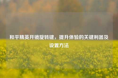 和平精英开镜旋转键,提升体验的关键利器及设置方法