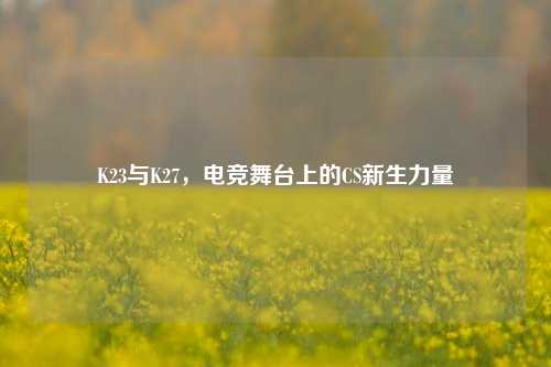 K23与K27,电竞舞台上的CS新生力量