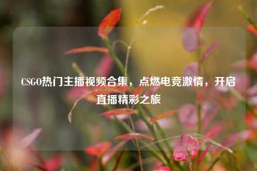 CSGO热门主播视频合集,点燃电竞激情,开启直播精彩之旅