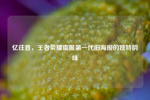 忆往昔,王者荣耀虞姬第一代旧海报的独特韵味