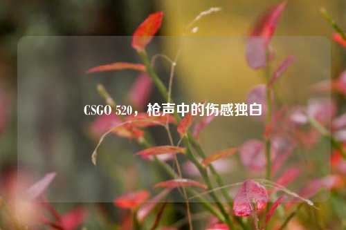 CSGO 520,枪声中的伤感独白