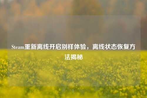 Steam重新离线开启别样体验,离线状态恢复方法揭秘