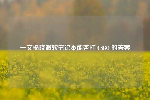 一文揭晓微软笔记本能否打 CSGO 的答案