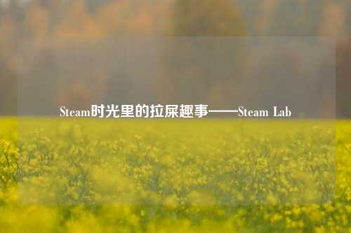 Steam时光里的拉屎趣事——Steam Lab