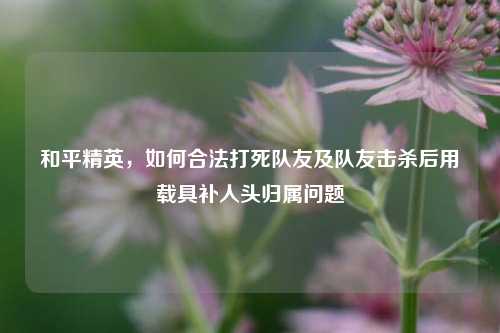 和平精英，如何合法打死队友及队友击杀后用载具补人头归属问题
