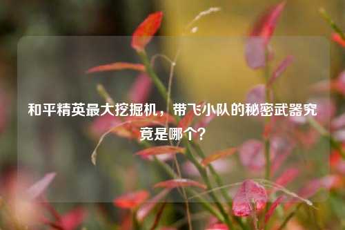 和平精英最大挖掘机，带飞小队的秘密武器究竟是哪个？