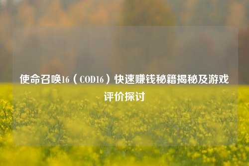 使命召唤16(COD16)快速赚钱秘籍揭秘及游戏评价探讨