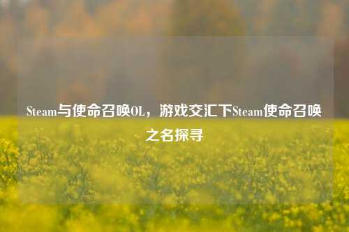 Steam与使命召唤OL,游戏交汇下Steam使命召唤之名探寻