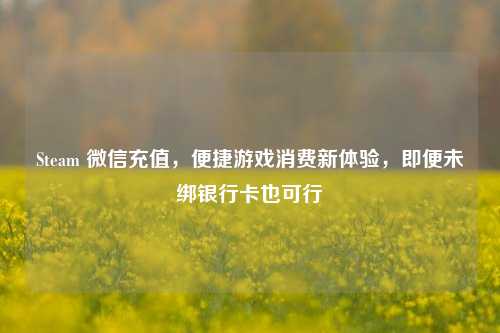 Steam 微信充值,便捷游戏消费新体验,即便未绑银行卡也可行