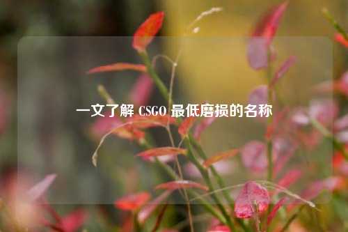 一文了解 CSGO 最低磨损的名称