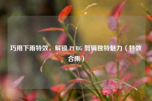 巧用下雨特效,解锁 PUBG 剪辑独特魅力(特效合集)