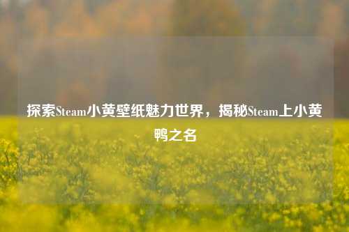 探索Steam小黄壁纸魅力世界,揭秘Steam上小黄鸭之名