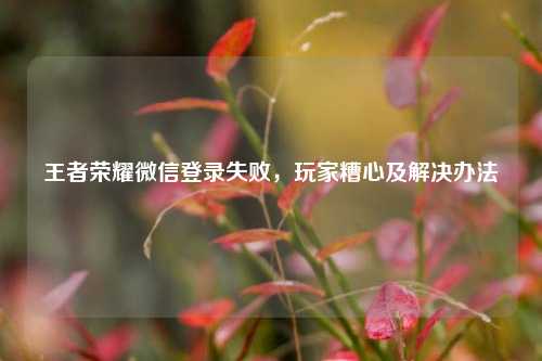 王者荣耀微信登录失败，玩家糟心及解决办法