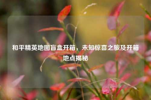 和平精英地图盲盒开箱，未知惊喜之旅及开箱地点揭秘