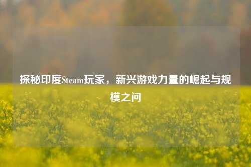 探秘印度Steam玩家,新兴游戏力量的崛起与规模之问