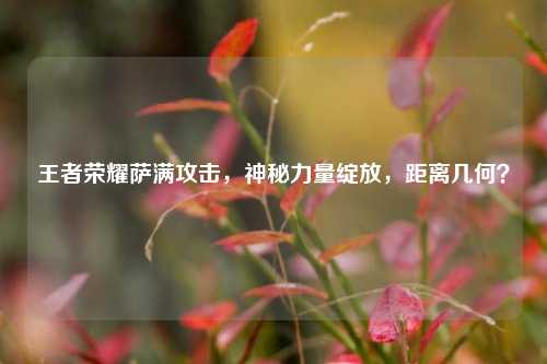 王者荣耀萨满攻击,神秘力量绽放,距离几何?