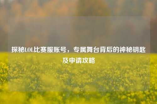 探秘LOL比赛服账号,专属舞台背后的神秘钥匙及申请攻略